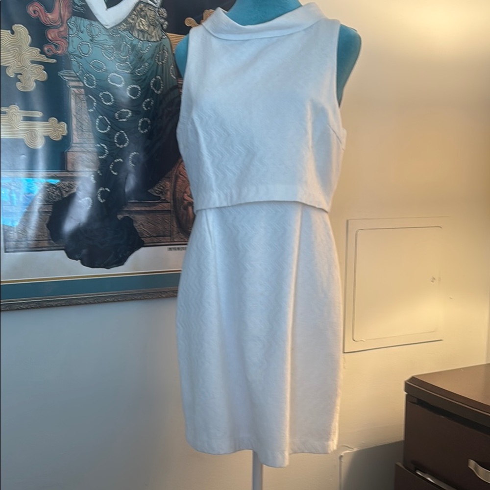 Forever 21 white Fifties style dress.